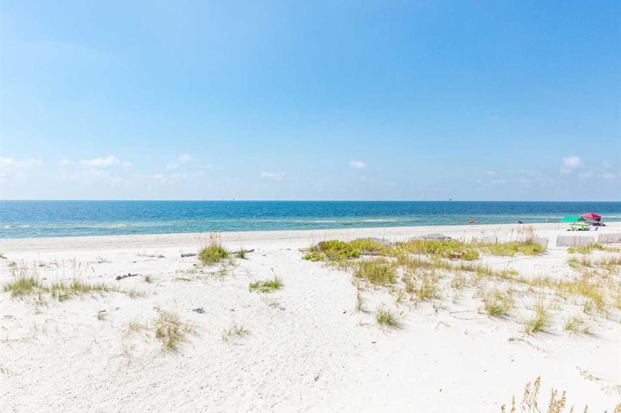Surfwatch Fort Morgan